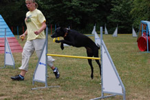 Hundeausbildung Wiesbaden
